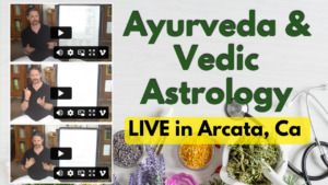Ayurveda and Vedic Astrology - Weekend Seminar